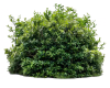1715447589443.png