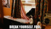 f32ee077-ba06-4666-bc6d-7290cd4d2cc2_text.gif