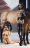 3759150.picsmall.jpg