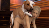 dogggg.png