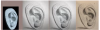 1717942331740.png