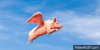 pig-fly-1847398375.gif