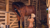 Dee Horse 3.png