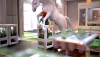 Sonia x Horse (5).png