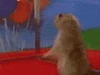 1000021475.gif