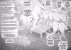Contingency_Discord_High-Res-Versions_2024.12.22_Christmas With Devin & Friends.png