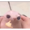 1738042317686.png