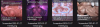 1738123546723.png