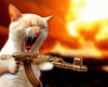 1vms.gif