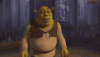 meme-shrek.gif