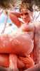 2.gif