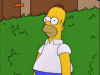 Simpsons Homer Hedge.gif