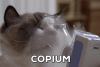 copium.gif