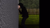 1740699985286.png
