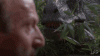 1000003778.gif
