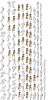 sekiren futsuu-CAB_a048b66e0146dca9a916df9bef6db904-2732776807709011311.png