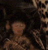 phdpookiemark-pookie.gif