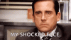 annoyed-steve-carrell.gif