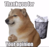 thank you for your opinion.png