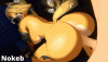 2025-03-11 Pulchra.gif