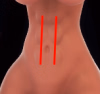 1742019778144.png