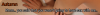 1742175861155.png