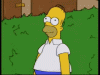 homer-bushe-homer-888696064.gif