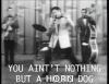 youaintnothing-butahounddog.gif