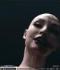 D1.gif