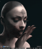 D2.gif