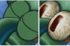 1743659355410.png