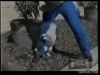 Painful_Testicular_Cat_Attack_on_Live_TV__Ouch (1).gif