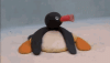 pingu-noot-noot.gif