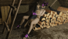 Juri 1 Full.gif