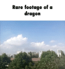 Dragon.gif