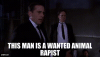 Office Michael Scott Man is a Wanted Animal Rapist.gif