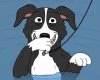 Mr Pickles.jpeg