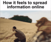 how-it-feels-to-spread-information-online-how-it-feels.gif