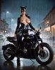 Dany Cat Bike 3.jpg