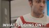 1744063960431.gif