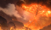 Dottore Tree Burning.png