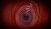 f0ca67e1-bf25-42e4-b768-6437962be9e8-1200x0.png