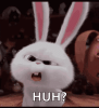 1744705834422.gif