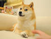 1744773795275.png