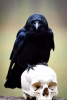 01e2ed6c-bfaf-4675-8e5c-d98cb6f9be1d.png