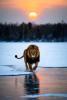 da7858da-b451-4ec2-a00b-d78248ac734d.png