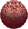 latest.png