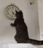 1744947932009.gif