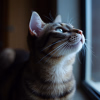 5a7c9a09-9f6b-4f2e-8cf8-eb421cbae82b.png