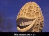 1553734762627.jpg